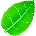 快手无水印下载工具 v1.2 绿色版