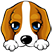 小汪路由管家 v0.7.0.0 绿色免费版