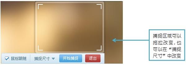 KK导播伴侣官方下载