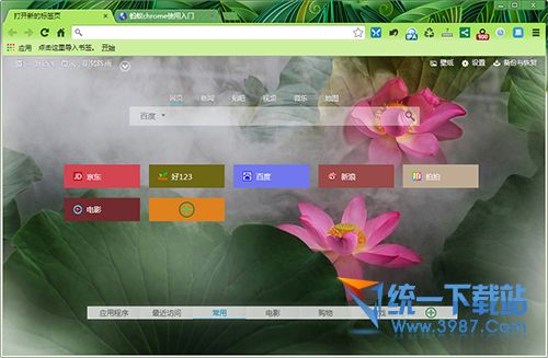 蚂蚁浏览器Chrome中国版 v33.0.1750.117 中文免费版