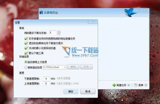 迅雷精简版下载 v1.5.3.288 绿色版