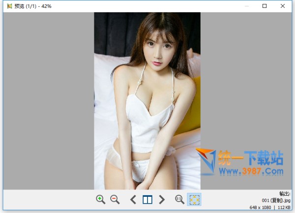 Light Image Resizer中文版下载