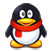 NtrQQ(QQ显IP地址/显隐身) v4.9 绿色版