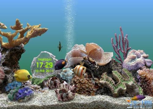 海洋水族馆动态电脑屏保 v3.2.6025 汉化版