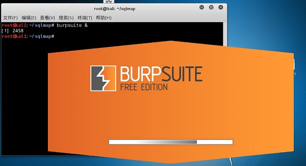 BurpSuite破解版,BurpSuite暴力破解版,BurpSuite无期限制版