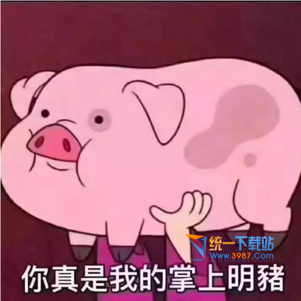 你真是我的掌上明猪表情包