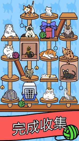 猫咪公寓安卓版