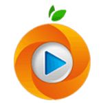 橙子TV版