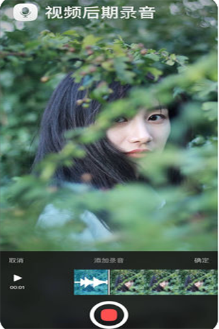 猫饼鬼畜拜年版