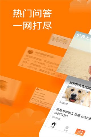 悟空问答app