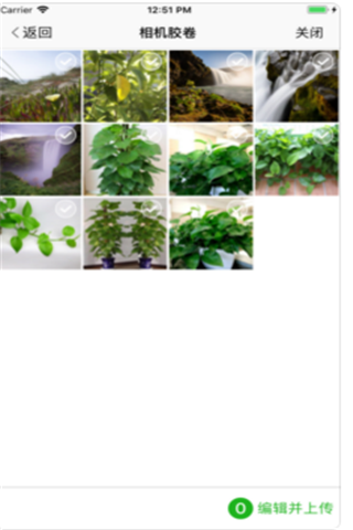 植物相机iOS版