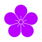 紫梅魔盒iOS版