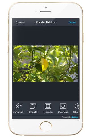 FotoMix相机app