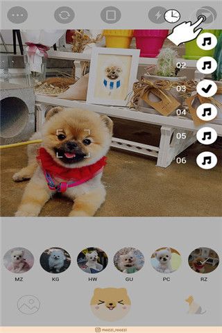 CoCo for博美犬相机app