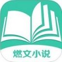 燃文小说网iOS版