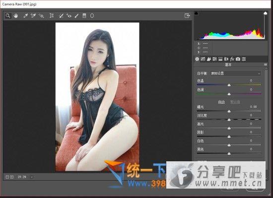 camera raw 10.5下载