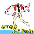 锦鲤表情包 gif免费版