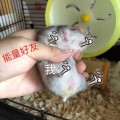 双十一被点赞请求包围的我表情图片 免费版