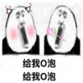 给我o泡表情包 免费全套版