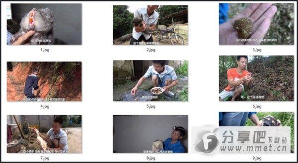 华农兄弟漂亮警告表情包下载