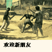 欢迎新人表情包