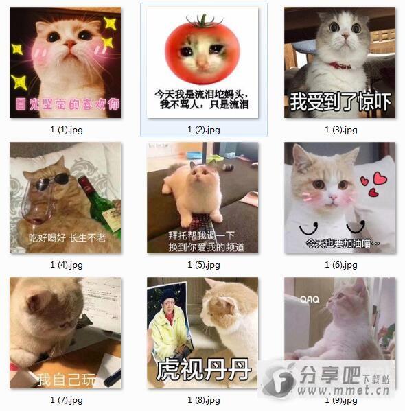 最新微信萌猫表情包高清版