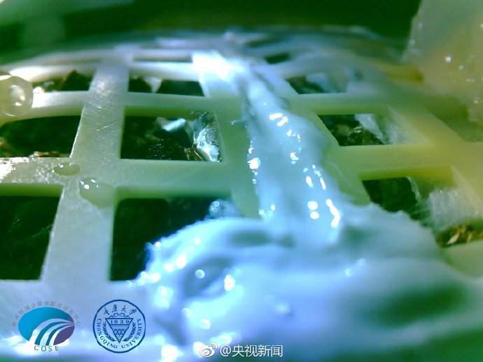 中国在月球栽的嫩芽已经“死了”？这次外媒没乱说的照片 - 6